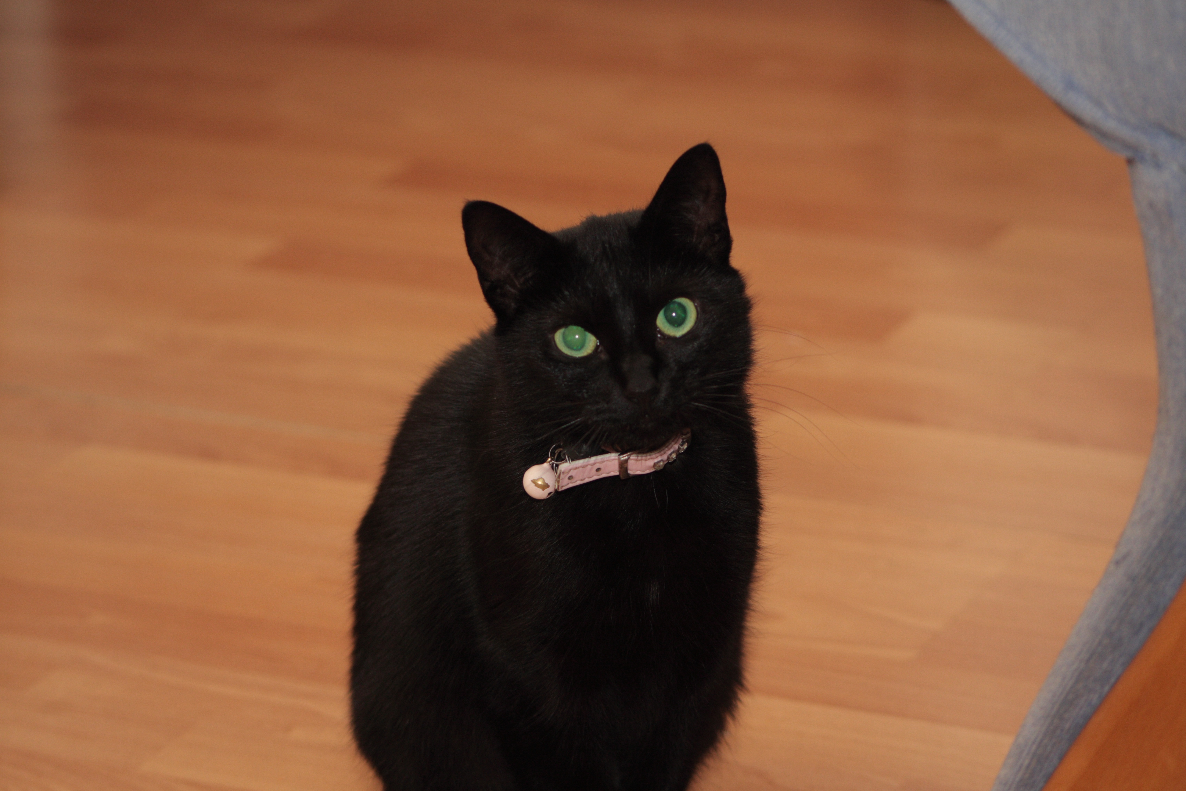 Millie