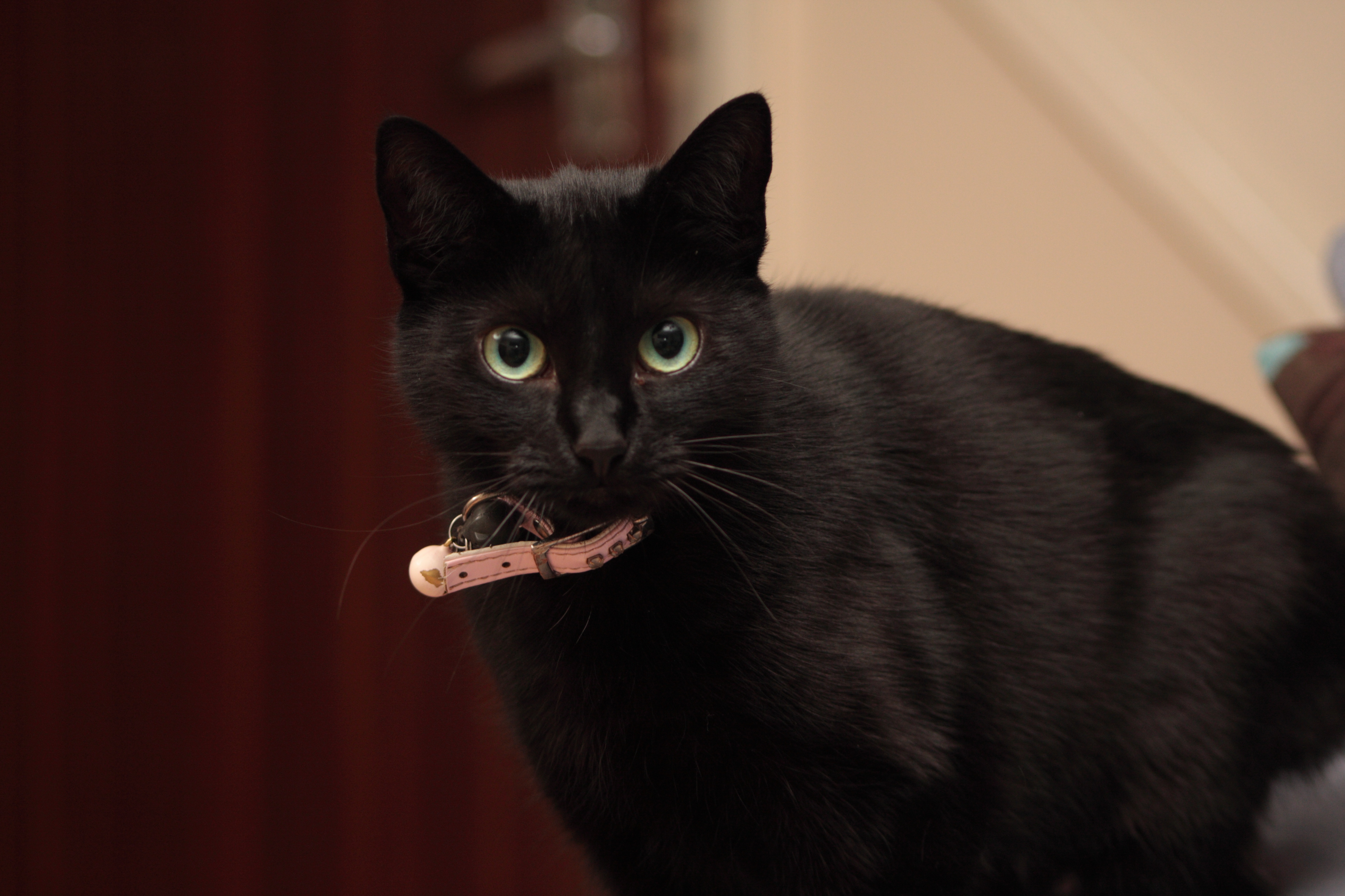 Millie