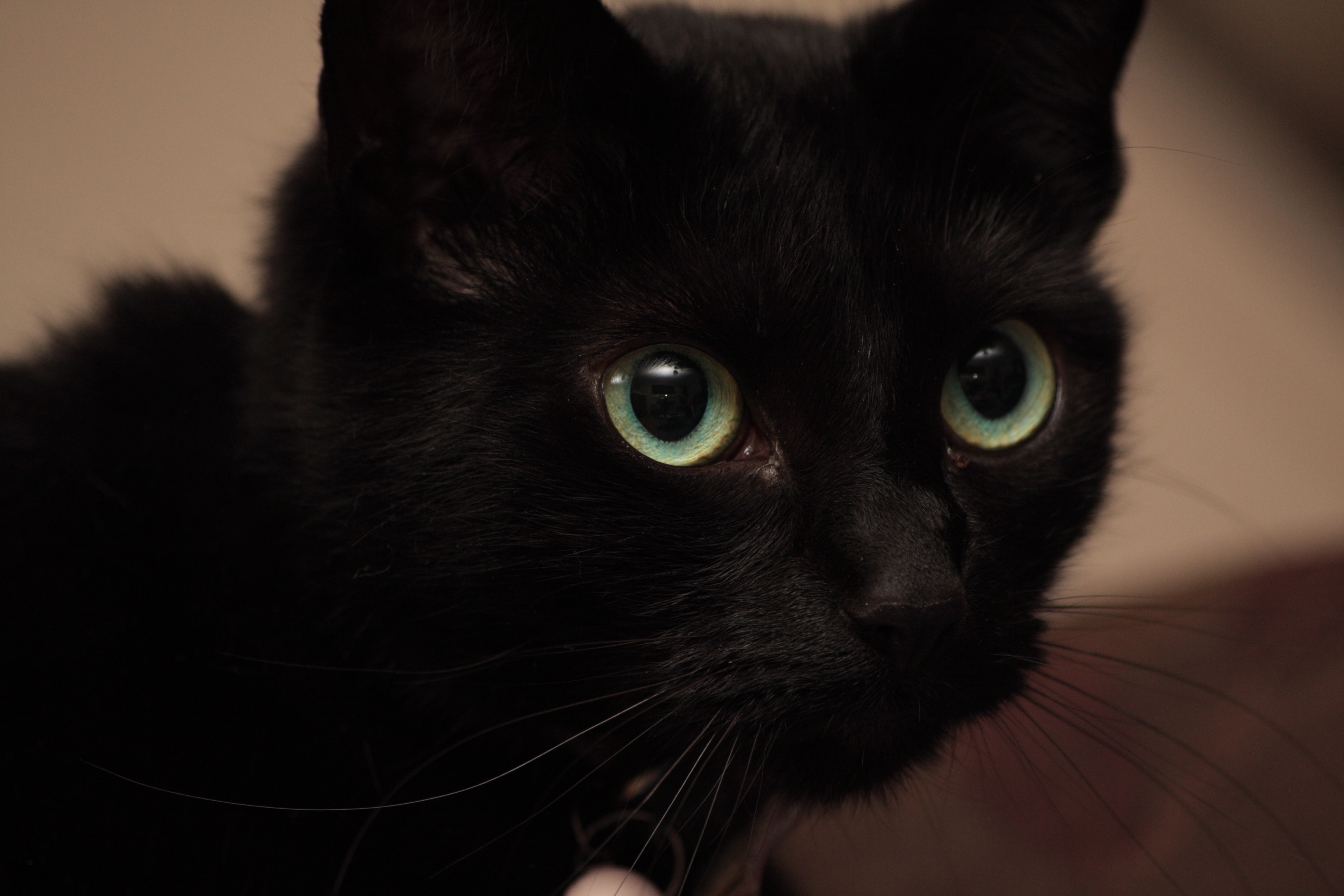 Millie