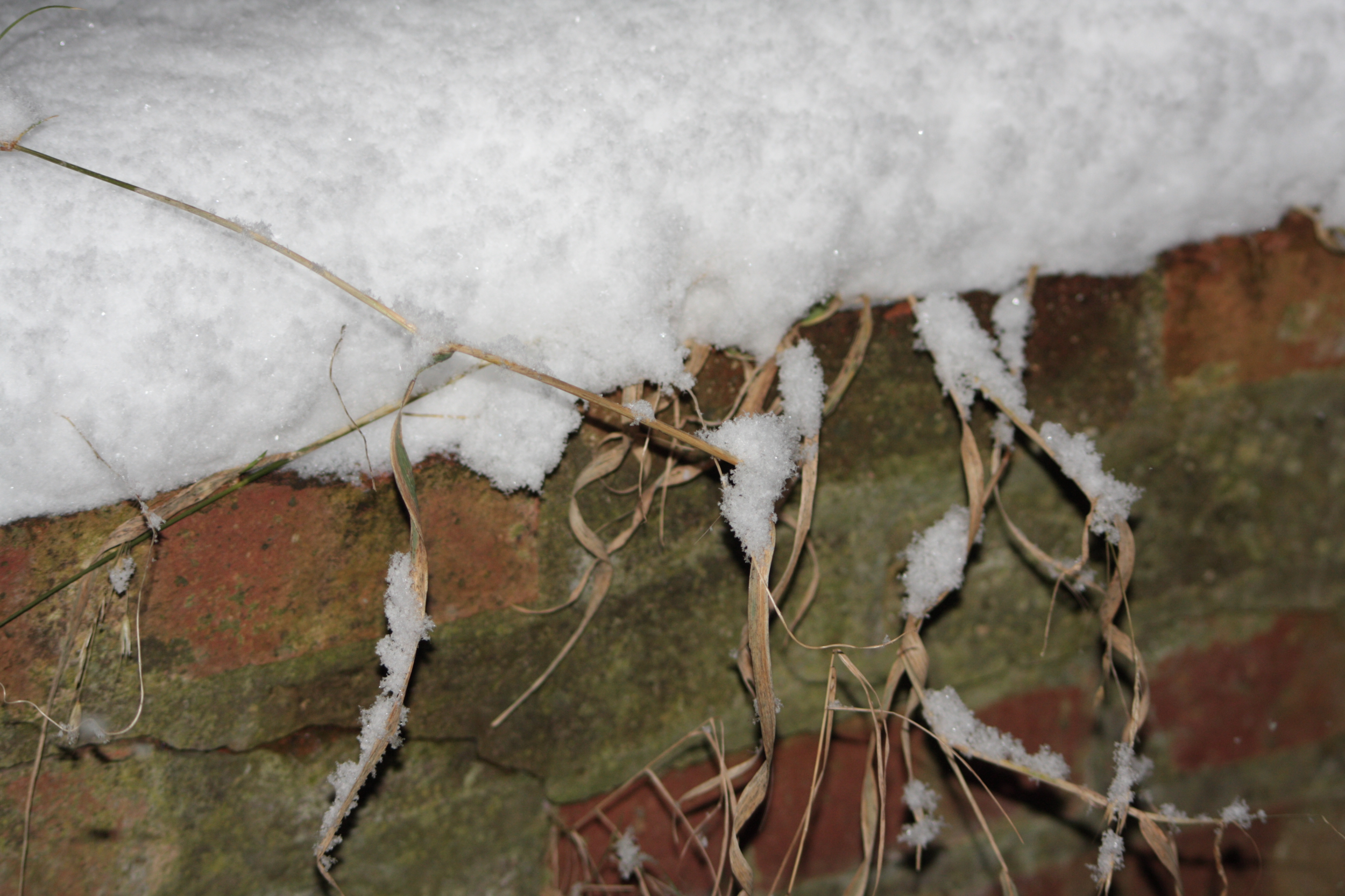 Luton gets hit hard by the snow.