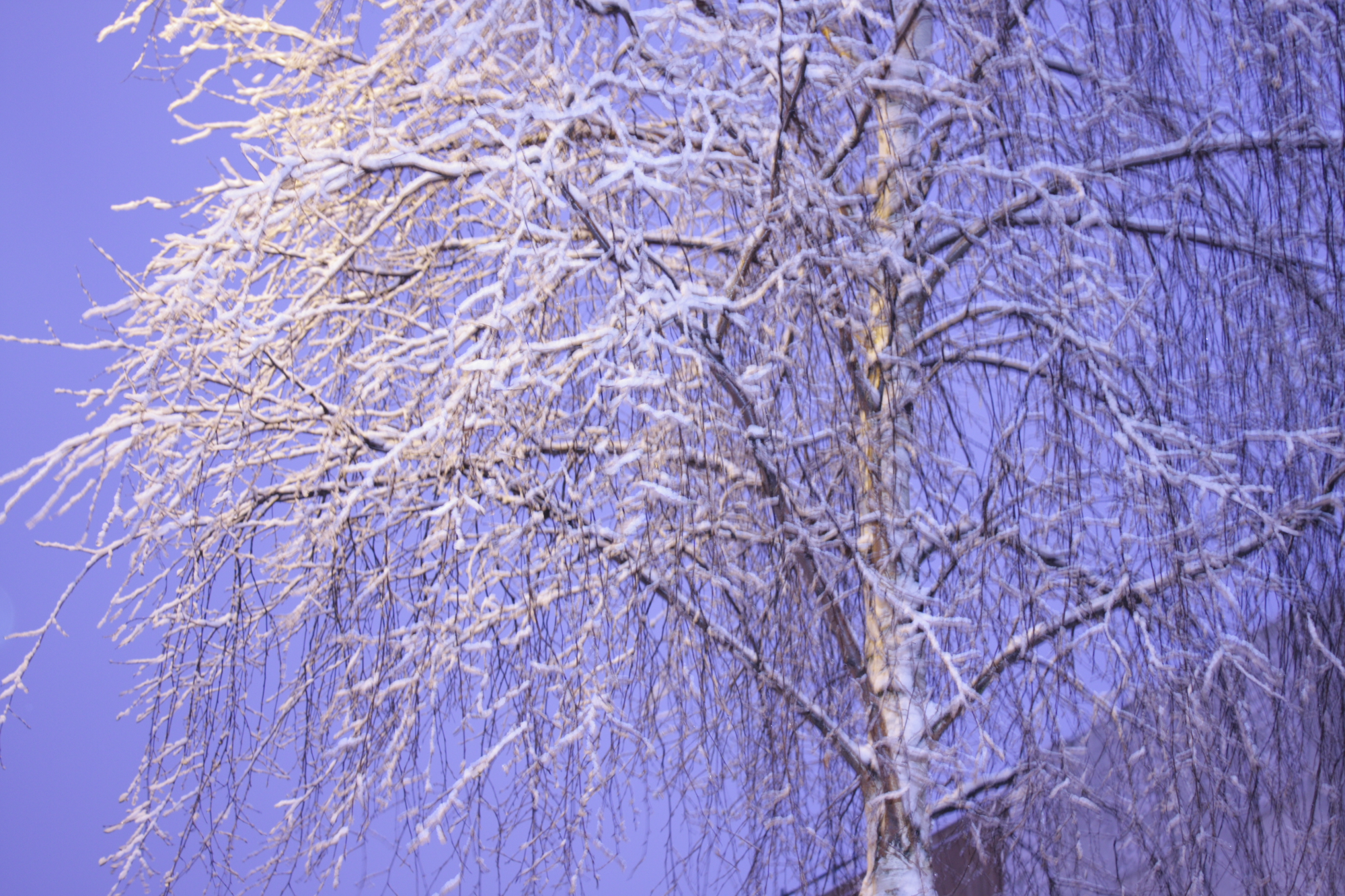Yet more snow hits Luton