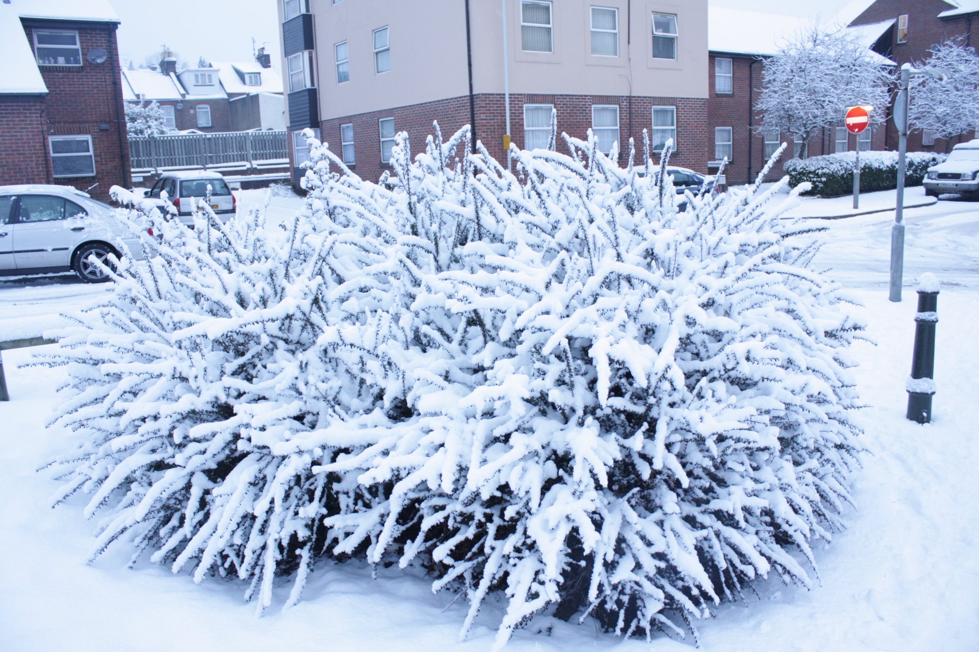More snow in Luton