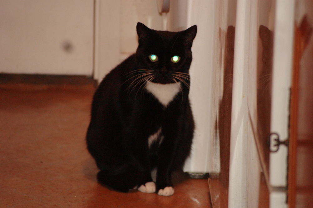 Evil Tabitha glaring at the camera with glowing eyes!