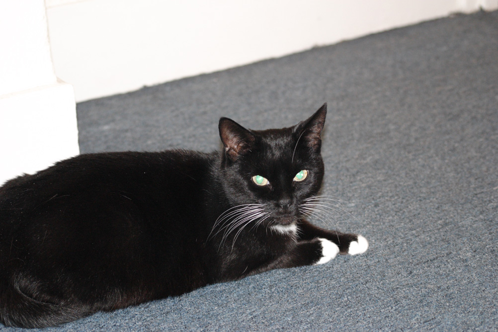 Another shot of a bored Tabitha.
